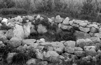 General view of cairn.
Original negative captioned: 'Cairn near Sundayswells Learney by Torphins'.