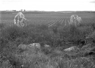 Detail of cairn and northern stones.
Original negative captioned: 'Cullerlie Circle on farm of Standing Stones, near Garlogie, Echt. Stone Setting and 2 northern stones, viewed from South July 1902'.