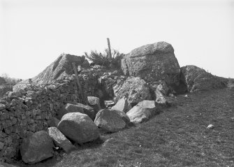 View of large boulder, incorporated into a stone dyke. 
Original negative captioned: 'The "Cloven Stone" on Boundary of Clovenstone Farm Apr 1903'.