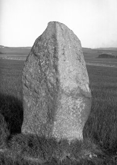 View of standing stone.
Original negative captioned: 'Urn found near this stone (see Ordinance Survey 6 inch map) / Standing stone, sole remains of Circle, at Peathill, June 1904'.