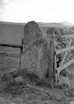 View of repositioned standing stone.
Original negative captioned: 'The Liggars Stone Harlaw, now used as gatepost 1911'.