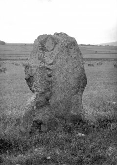 View of standing stone.
Original negative captioned: 'Remains of Stone Circle at Waulkmill Tarland 1904 / Standing Stone, remains of Circle removed about 70 years ago'.
