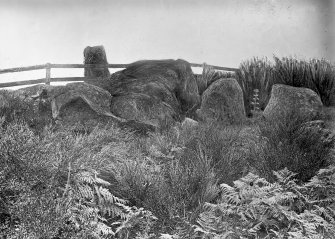 View of circle from the south-east.
Original negatives captioned: 'Stone Circle on Tom-na-hivrigh (Tomnaverie) near Tarland 1904', and 'Stone Circle on Tom-na-hivrigh (Tomnaverie) west of Wester Coull / View from South East showing Recumbent Stone and fallen pillars July 1904'.