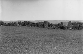 General view from the west.
Original negative captioned: 'Stone Circle at Auchquhorthies, near Portlethen Station General View from the West July 1902'.