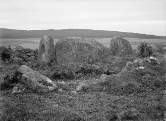 View of recumbent stone and flankers.
Original negative captioned: 'Recumbent Stone and Pillars of Greater Circle at Eslie, Durris / View from outside of circle 1907'.