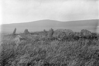 General view of circle.
Original negative captioned: 'Esslie, the Greater Circle View from outside circle, looking North July 1902'.