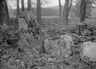 View of possible standing stone.
Original negative captioned: 'Remains of Stone Circle at Tilquhillie Castle, Durris, near Banchory June 1912'.