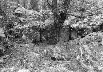 View of interior of cairn, showing kerb.
Original negative captioned: 'Cairn beside Stone Circle on Clune Hill, Durris. July 1904'.