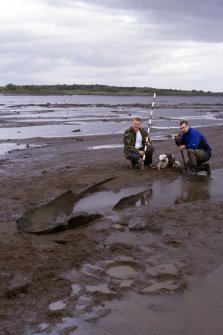 Carpow Bank logboat: general view looking E, with finders.