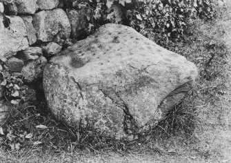 View of cup-marked stone, lying in front of dry-stane wall.