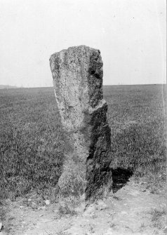 View of standing stone.