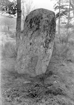 View of outlying standing stone.
