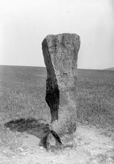 View of standing stone.