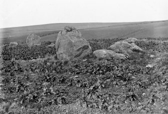 General view of stone circle.