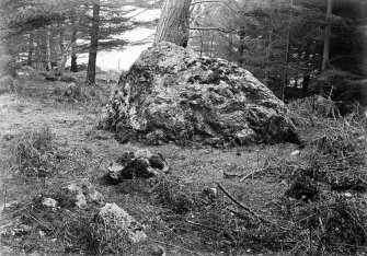 View of the erratic.
Photograph was taken on a different occasion from AB 2437 (1906).