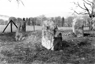 General view of stone circle.