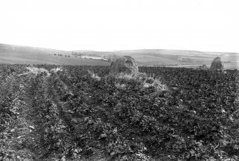 General view of stone circle.