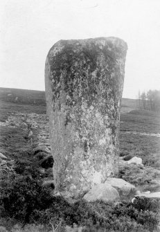 View of standing stone.