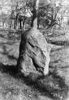 View of standing stone.
For a view of its other side, see AB 2512, which, from the vegetation appears to have been taken on a different occasion.
