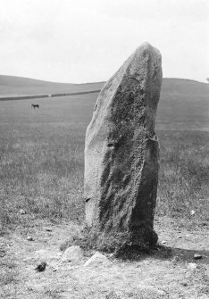 East side of standing stone, displaying one cup mark.