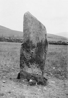 West side of standing stone, displaying several cup marks.
