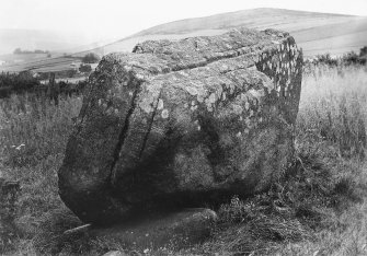 View of recumbent stone.