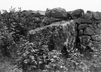 The Ark Stone, incorporated into stone dyke.