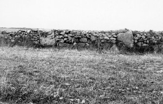View of two stones  of circle incorporated into stone dyke.
Original print card captioned: 'Remains of stone circle at Brandsbutt, Inverurie. The stone to the left of the view is known locally as the 'Douping Stone' from its use in connection with a ceremony at the riding of the Burgh Marches. The last occasion on which it was used was on 23 October 1907.'