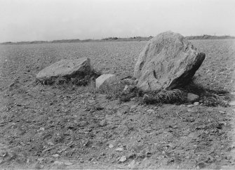 View of recumbent stone and flanker.
Photograph identical to BN 975.