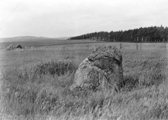 View of standing stone.