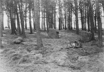 General view of stone circle.
Opposite perspective to that of BN 987.