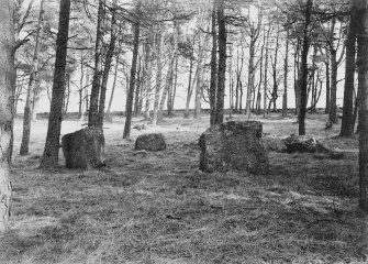 General view of stone circle.
Perspective opposite to that of BN 986.