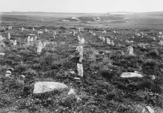 General view of the stone rows, looking south from the hill-top.