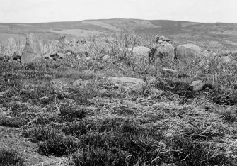 View of ring-cairn from the south.