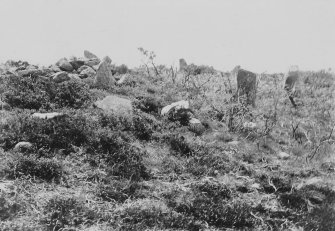 View of southern ring cairn from the east.