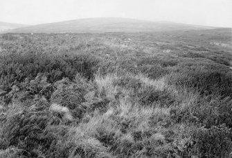 View of alleged cairns in heather moorland.