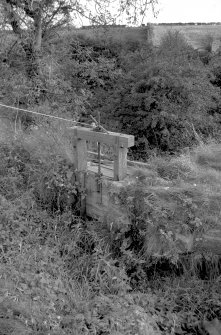 View showing overflow sluice