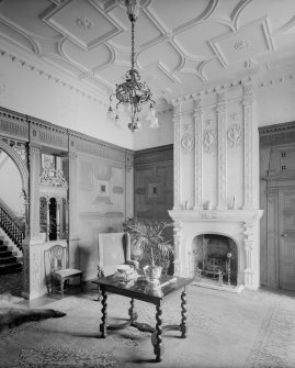 Interior-general view of fireplace in entrance hall
