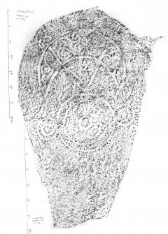 Cairnton, composite digital image of photographic copy of rubbing of a pictish symbol stone.