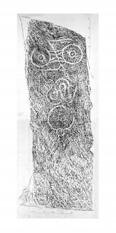 Myreton Farm, composite digital image of rubbing of Picardy stone.