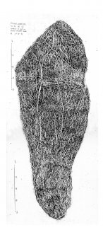 Rhynie, Barflat, composite digital image of rubbing of a Pictish symbol stone.