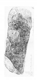 Knockespock House, Clatt no 1, composite digital image of rubbing of Pictish symbol stone.