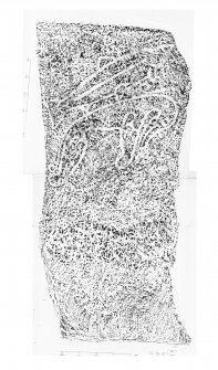 Rhynie, Craw stone, composite digital image of rubbing of Pictish symbol stone.