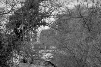 View looking NNW through trees with part of mill in background