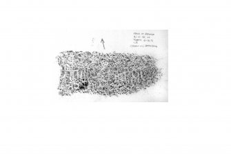 Mains of Afforsk, digital image of rubbing of the south edge of cross-incised stone with ogam inscription.