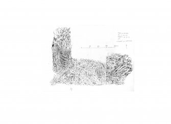 Mains of Afforsk, digital image of rubbing of the north edge of cross-incised stone with ogam inscription.