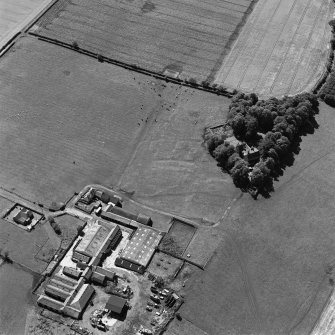 Oblique aerial view of Redden centred on the remains of a grange with a farmsteading adjacent, taken from the NNE