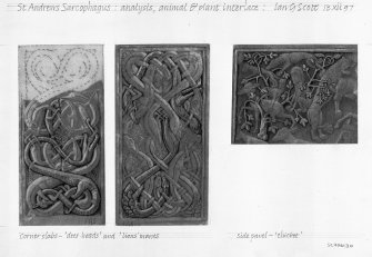 Digital image of drawing of St Andrews Sarcophagus: analysis, animal and plant interlace. 
Drawing shows analysis of 'deer-heads' and 'lions' manes on corner slabs, and thicket in upper left of main panel.
