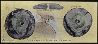 Dumbuck crannog excavation.
Titled: 'Quern found at Dumbuck crannog'.