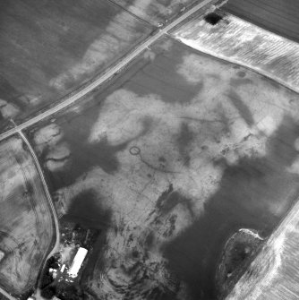 Easter Kinnear, oblique aerial view centred on the cropmarks of an unenclosed settlement, a ring-ditch and enclosures. Digital image of B/79582.